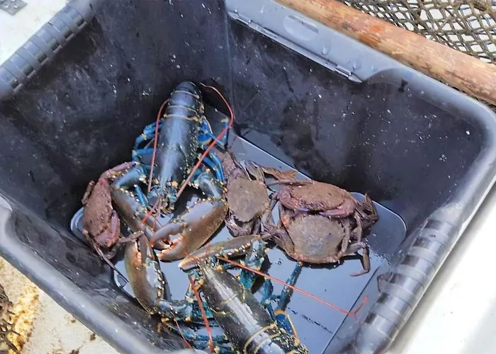 Beautiful In Апартаменты Гранкан-Мези